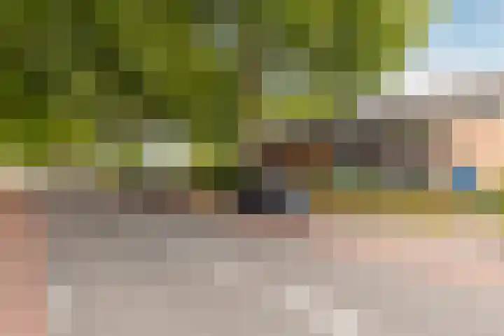van Tuldenstraat 10 Oirschot thumbnail 29