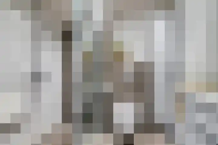 Van Tussenbroekstraat 2 Tilburg thumbnail 12