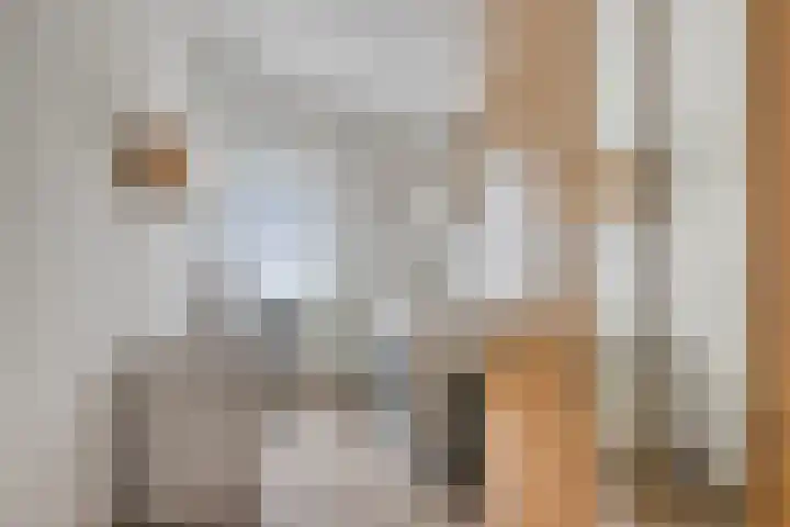 Van Tussenbroekstraat 2 Tilburg thumbnail 16