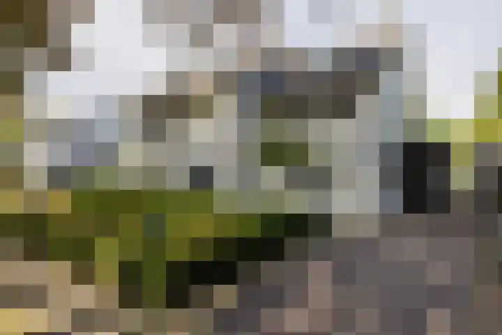 van Tuyll van Serooskerkenlaan 4 Heeze