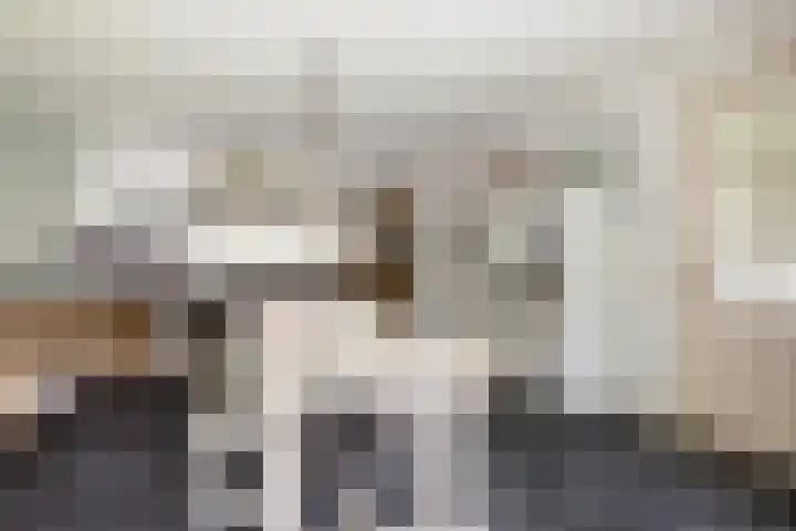 van Tuyll van Serooskerkenlaan 4 Heeze thumbnail 14