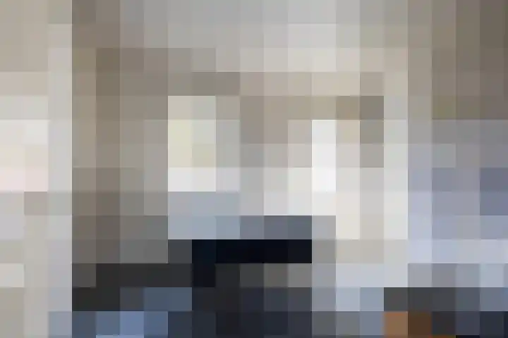 van Tuyll van Serooskerkenlaan 4 Heeze thumbnail 19