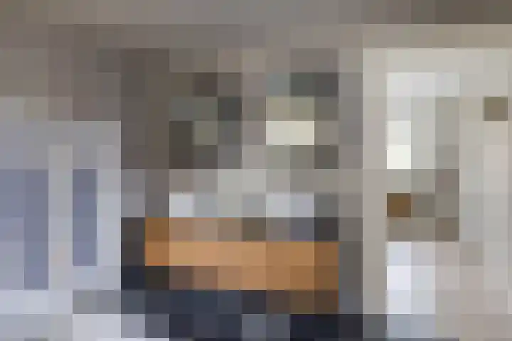 van Tuyll van Serooskerkenlaan 4 Heeze thumbnail 20