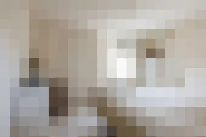 van Tuyll van Serooskerkenlaan 4 Heeze thumbnail 21
