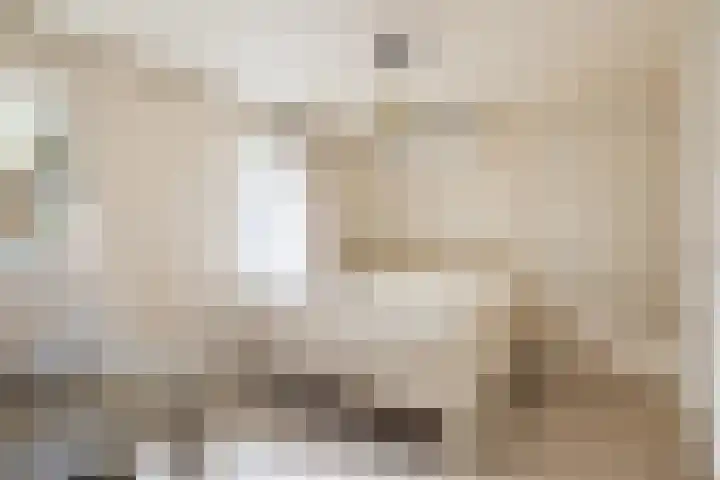 van Tuyll van Serooskerkenlaan 4 Heeze thumbnail 22