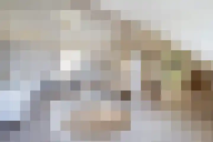 van Tuyll van Serooskerkenlaan 4 Heeze thumbnail 24