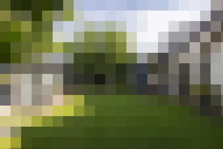 van Tuyll van Serooskerkenlaan 4 Heeze thumbnail 29