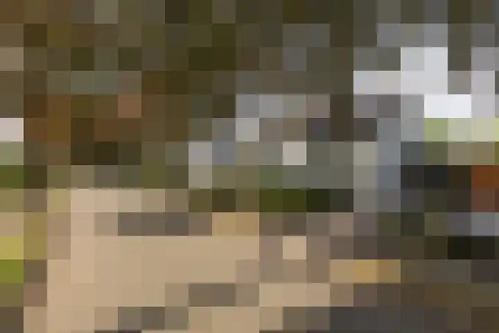 van Tuyll van Serooskerkenlaan 4 Heeze thumbnail 30