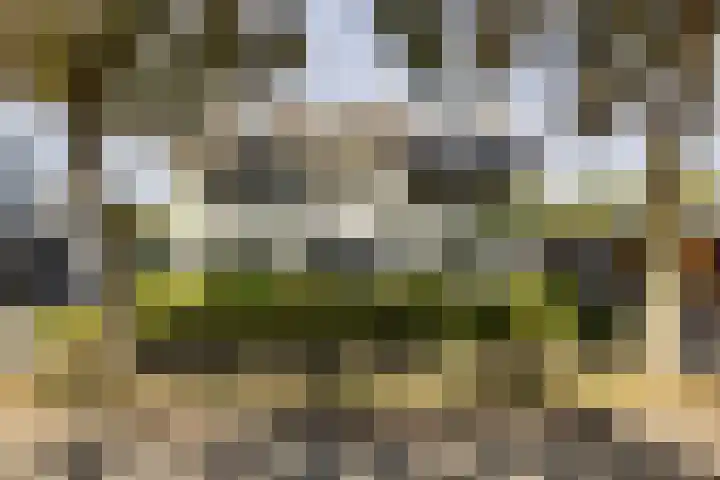 van Tuyll van Serooskerkenlaan 4 Heeze thumbnail 5