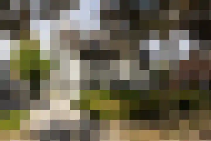 van Tuyll van Serooskerkenlaan 4 Heeze thumbnail 6