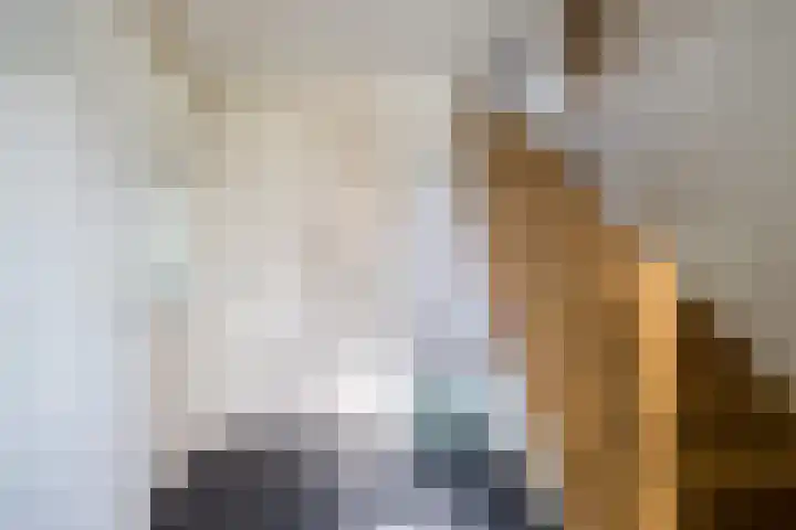van Tuyll van Serooskerkenlaan 4 Heeze thumbnail 7