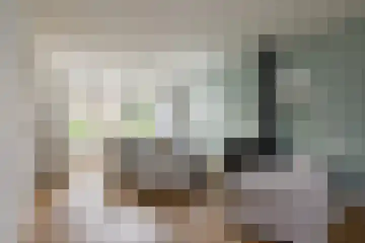 van Tuyll van Serooskerkenlaan 4 Heeze thumbnail 9