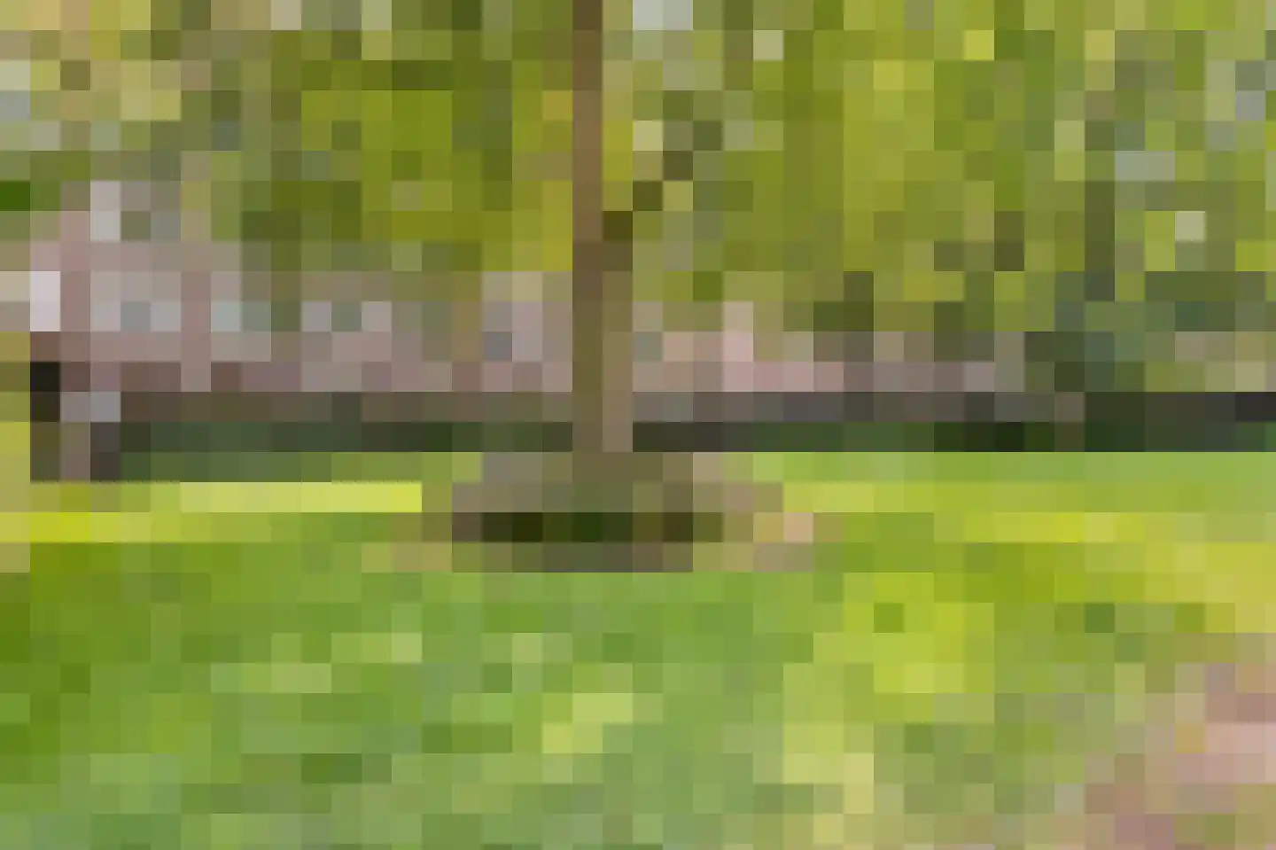 Van Tuyll van Serooskerkenplein 29 2 Amsterdam thumbnail 24