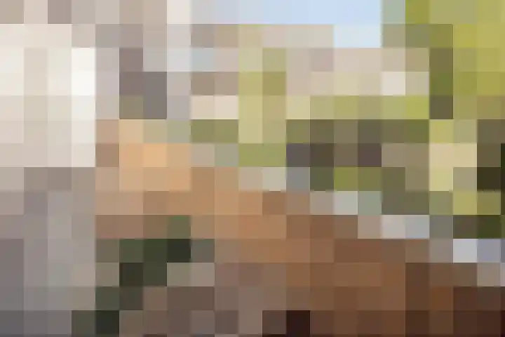 Van Tuyll van Serooskerkenplein 36 3 Amsterdam thumbnail 14
