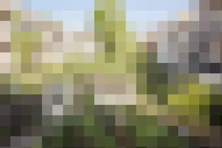 Van Tuyll van Serooskerkenplein 36 3 Amsterdam thumbnail 15