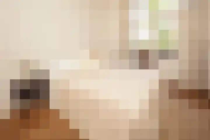 Van Tuyll van Serooskerkenplein 36 3 Amsterdam thumbnail 21