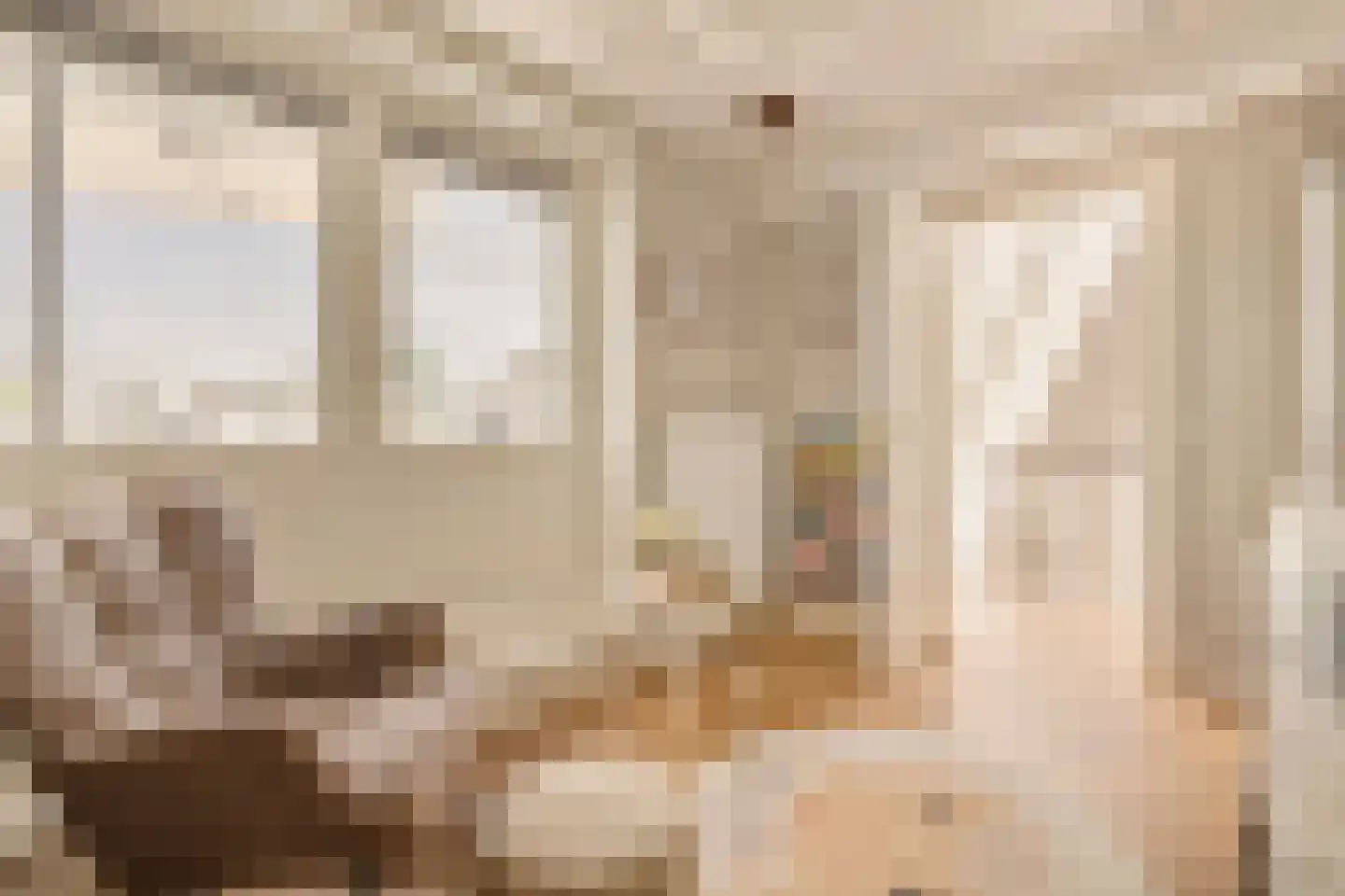 Van Tuyll van Serooskerkenplein 36 3 Amsterdam thumbnail 30