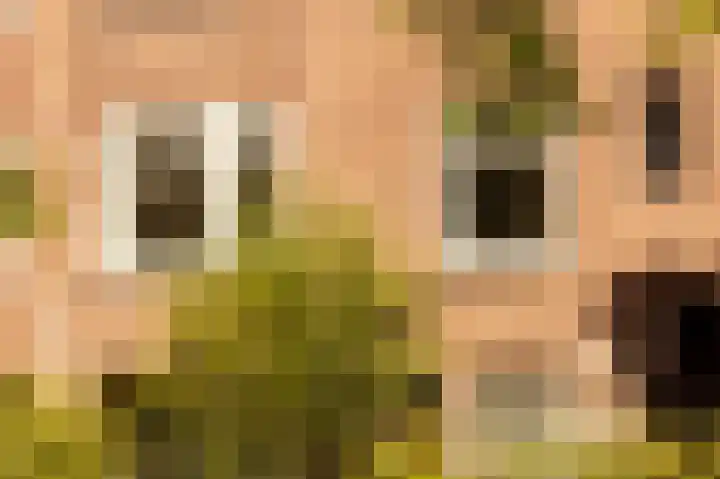 Van Tuyll van Serooskerkenplein 36 3 Amsterdam thumbnail 31