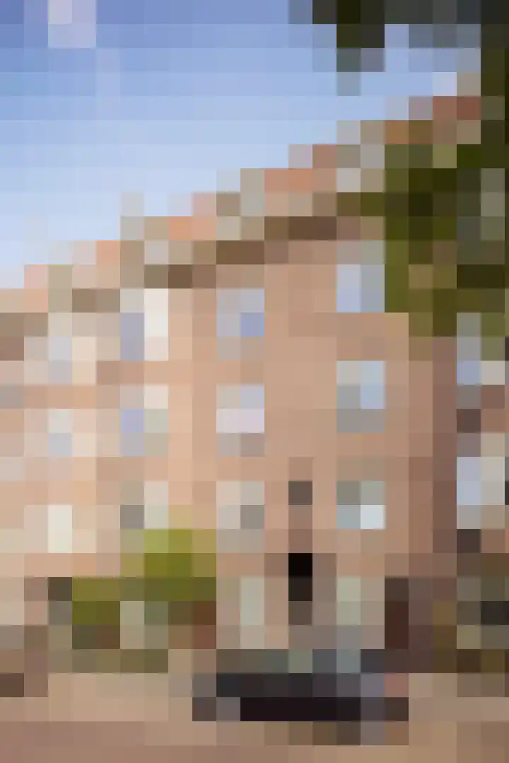 Van Tuyll van Serooskerkenplein 36 3 Amsterdam thumbnail 32