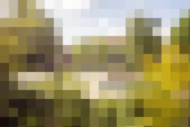 Van Tuyll van Serooskerkenplein 36 3 Amsterdam thumbnail 33