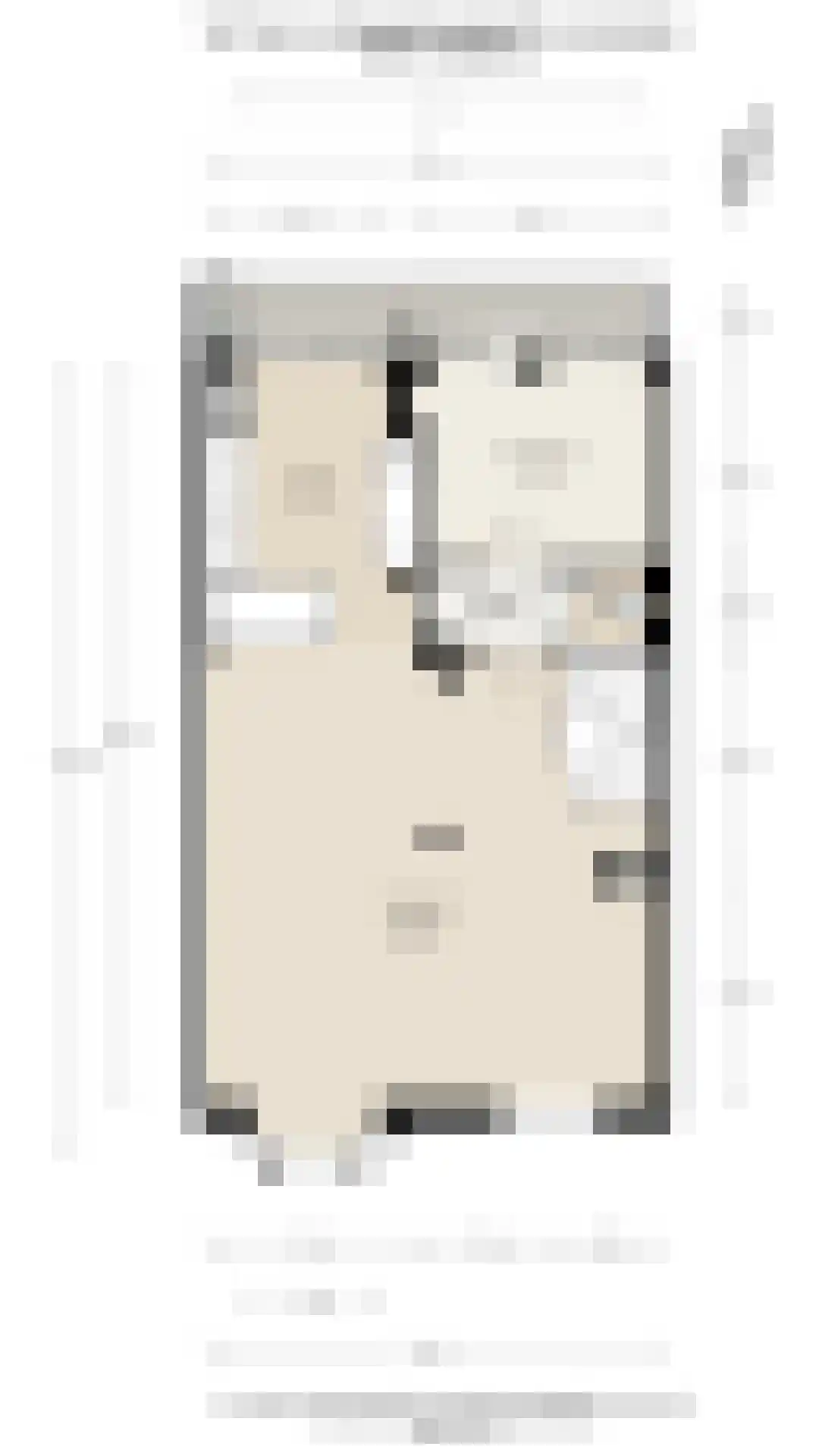 Van Tuyll van Serooskerkenplein 36 3 Amsterdam thumbnail 52