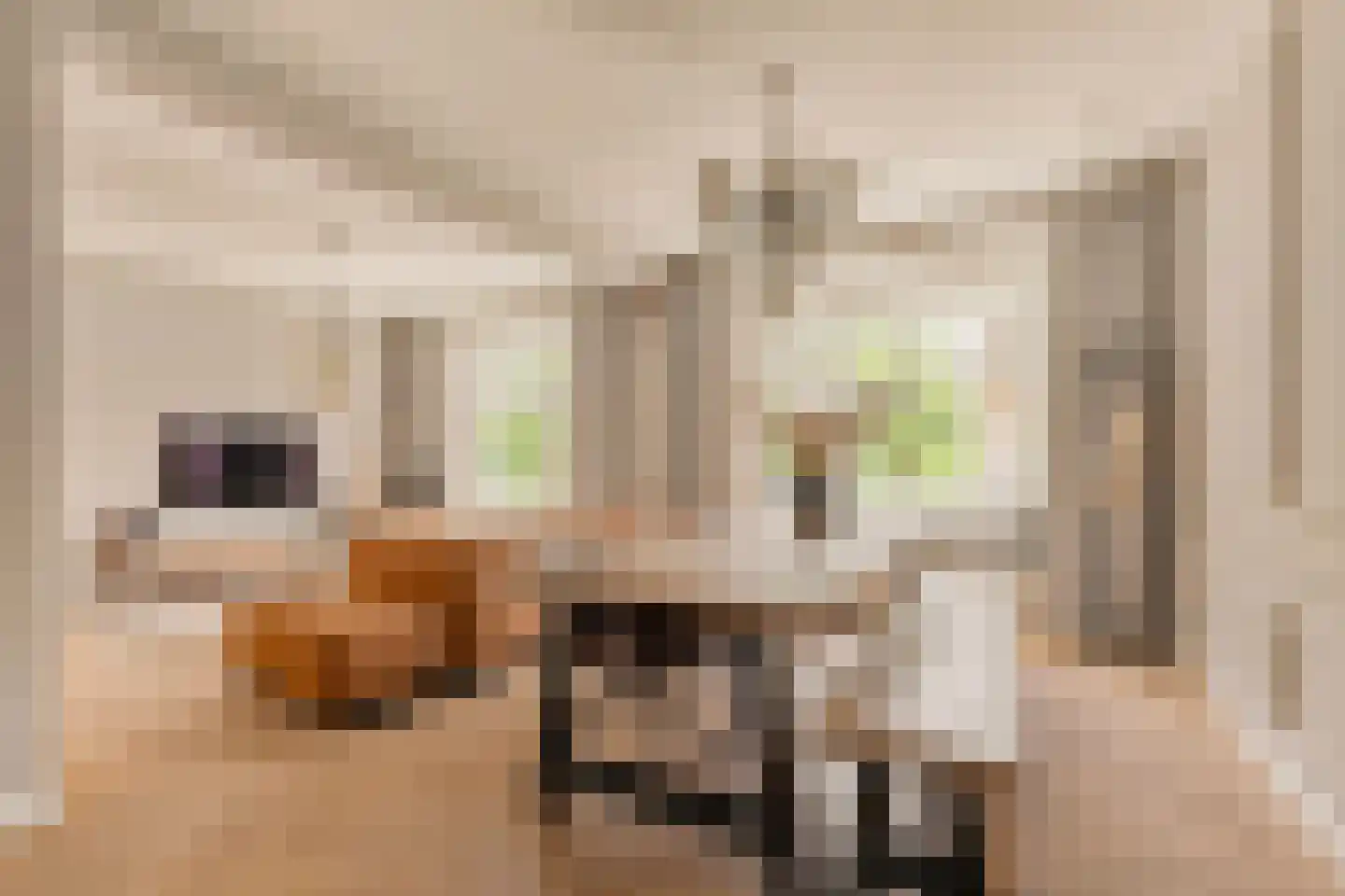 Van Tuyll van Serooskerkenplein 36 3 Amsterdam thumbnail 9