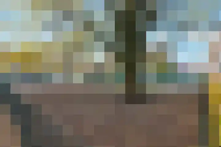 Van Tuyll van Serooskerkenplein 37 2 Amsterdam thumbnail 21
