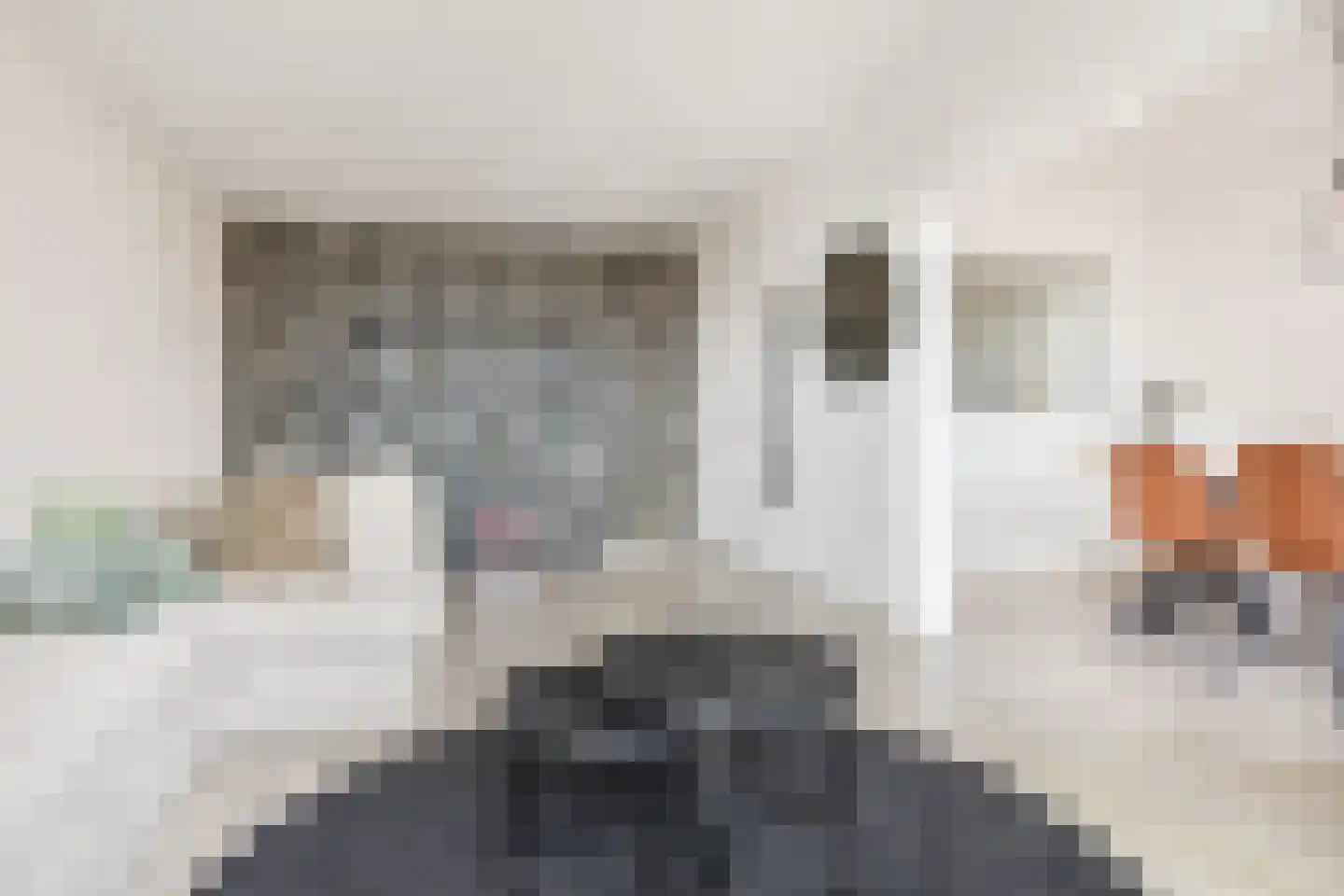 van Tuyll van Serooskerkenstraat 113 Voorburg thumbnail 11