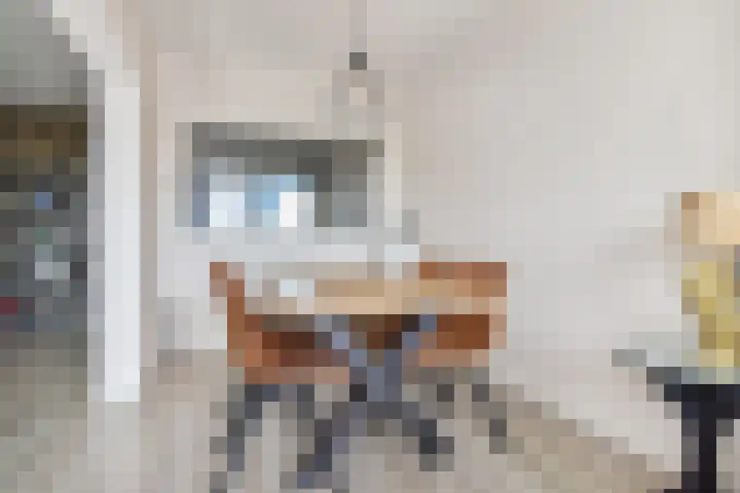 van Tuyll van Serooskerkenstraat 113 Voorburg thumbnail 15