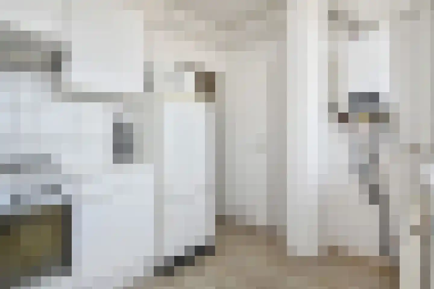 van Tuyll van Serooskerkenstraat 113 Voorburg thumbnail 19