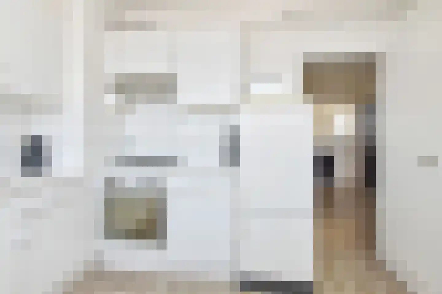 van Tuyll van Serooskerkenstraat 113 Voorburg thumbnail 20