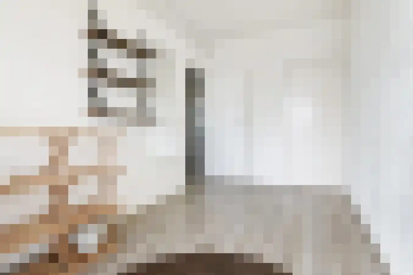 van Tuyll van Serooskerkenstraat 113 Voorburg thumbnail 24