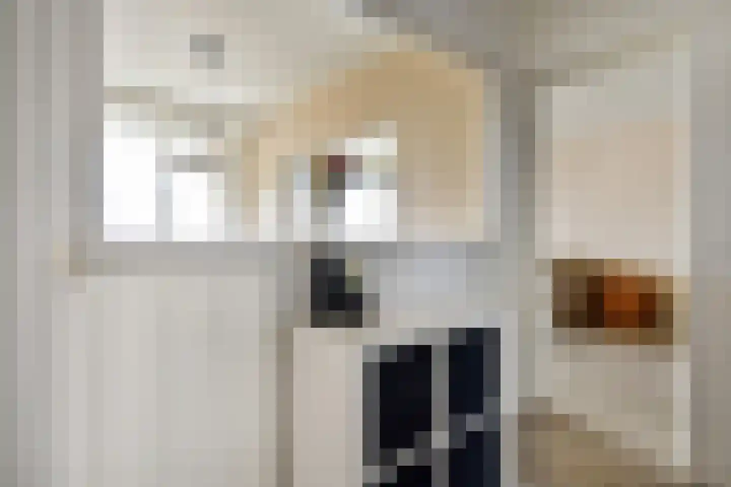 van Tuyll van Serooskerkenstraat 113 Voorburg thumbnail 9