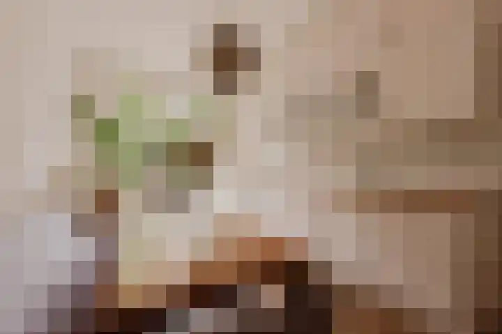 Van Tuyll van Serooskerkenweg 106 Amsterdam thumbnail 10
