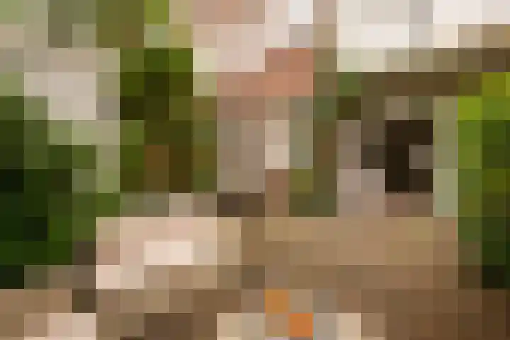 Van Tuyll van Serooskerkenweg 106 Amsterdam thumbnail 13