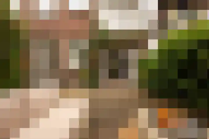 Van Tuyll van Serooskerkenweg 106 Amsterdam thumbnail 14