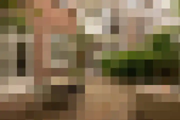 Van Tuyll van Serooskerkenweg 106 Amsterdam thumbnail 15
