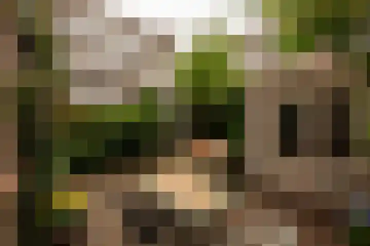 Van Tuyll van Serooskerkenweg 106 Amsterdam thumbnail 16
