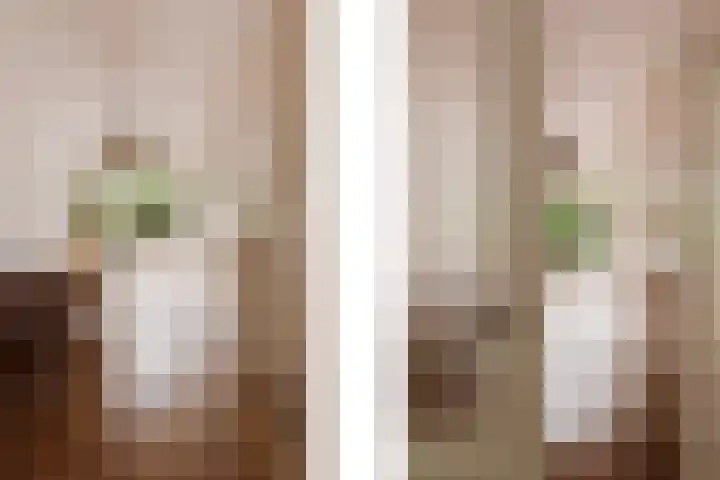 Van Tuyll van Serooskerkenweg 106 Amsterdam thumbnail 17