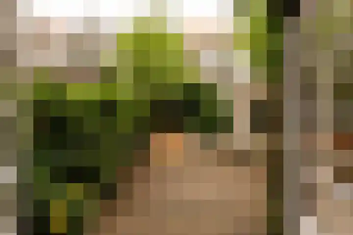 Van Tuyll van Serooskerkenweg 106 Amsterdam thumbnail 19
