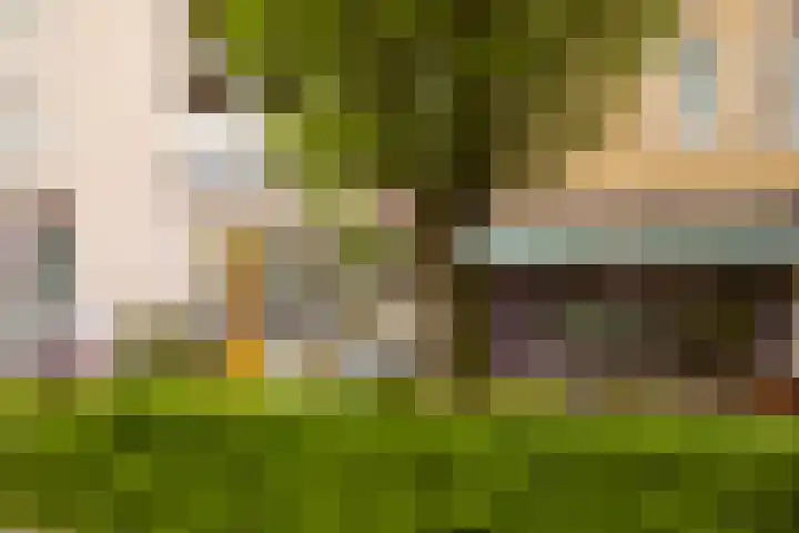 Van Tuyll van Serooskerkenweg 106 Amsterdam thumbnail 33