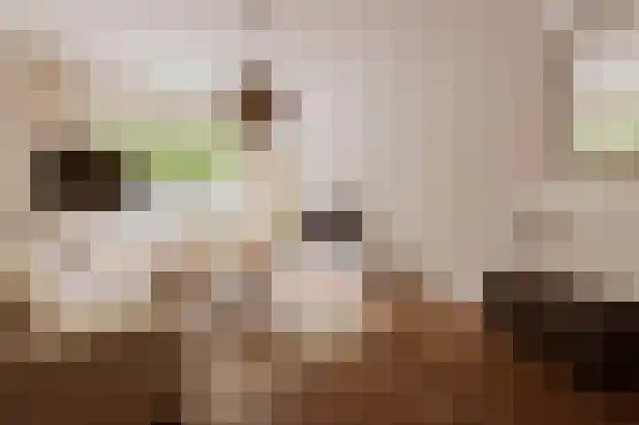 Van Tuyll van Serooskerkenweg 106 Amsterdam thumbnail 8