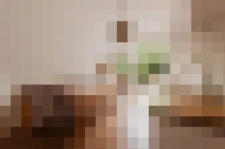 Van Tuyll van Serooskerkenweg 106 Amsterdam thumbnail 9