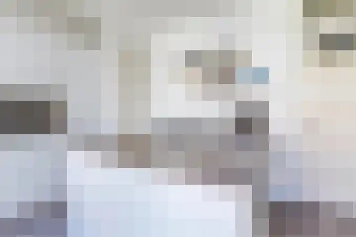 Van Tuyll van Serooskerkenweg 110 2 Amsterdam thumbnail 27