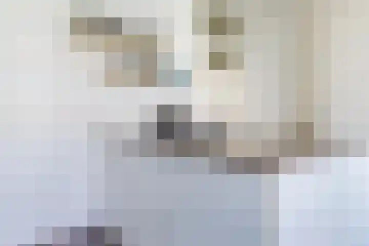 Van Tuyll van Serooskerkenweg 110 2 Amsterdam thumbnail 32