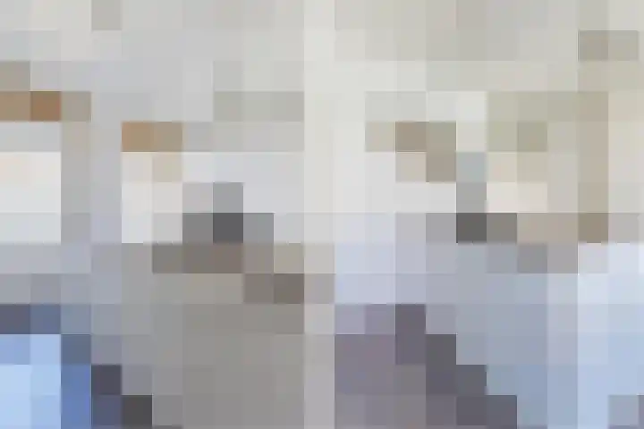 Van Tuyll van Serooskerkenweg 110 2 Amsterdam thumbnail 33