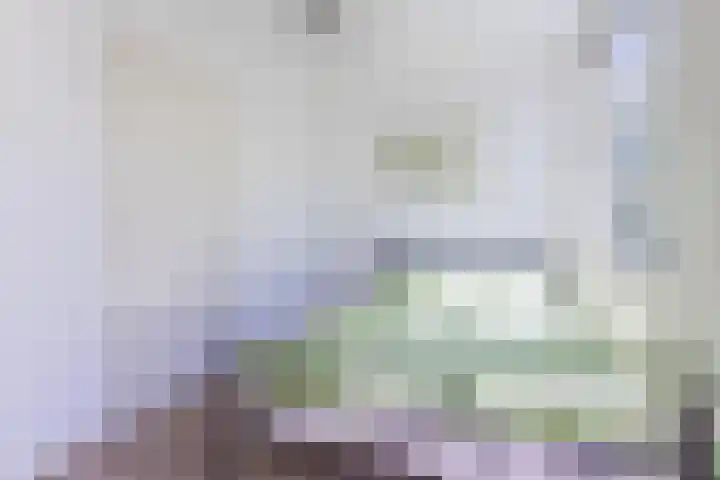 Van Tuyll van Serooskerkenweg 110 2 Amsterdam thumbnail 36