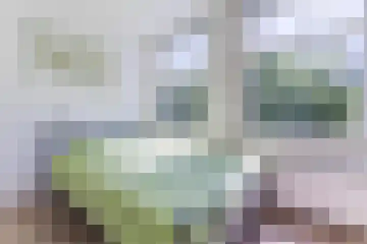 Van Tuyll van Serooskerkenweg 110 2 Amsterdam thumbnail 37