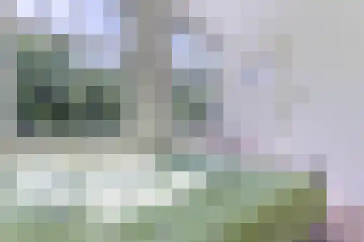 Van Tuyll van Serooskerkenweg 110 2 Amsterdam thumbnail 38