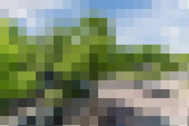 Van Tuyll van Serooskerkenweg 110 2 Amsterdam thumbnail 48